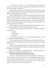 Apmokestinimo teoriniai pagrindai konspektas 3 puslapis