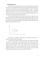Apmokestinimo teoriniai pagrindai konspektas 6 puslapis