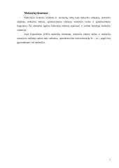 Apmokestinimo teoriniai pagrindai konspektas 7 puslapis