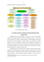Vilniaus apskrities valstybinės mokesčių inspekcijos struktūra, jos darbo organizavimas ir jo tobulinimas 9 puslapis
