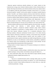 Savivaldos mokesčiai 11 puslapis