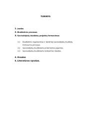 Savivaldybių biudžetų formavimo teisiniai pagrindai ir ypatumai 2 puslapis