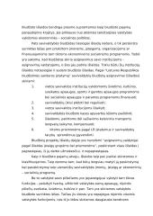 Savivaldybių biudžetų formavimo teisiniai pagrindai ir ypatumai 11 puslapis