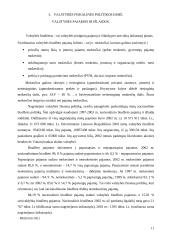 Valstybės finansų politika 11 puslapis