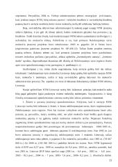 Nekilnojamojo turto mokesčio tarifai, jų grupavimas ir įvertinimas 11 puslapis