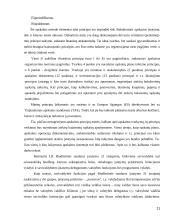 Viešųjų įstaigų finansų organizacijų ypatumai 11 puslapis