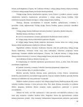 Viešųjų įstaigų finansų organizacijų ypatumai 14 puslapis