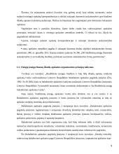 Viešųjų įstaigų finansų organizacijų ypatumai 9 puslapis