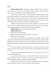 Viešųjų sutarčių sudarymo ypatumai; Kursinis darbas 2 puslapis