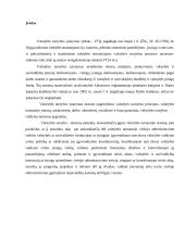 Materialinė atsakomybė valstybės tarnyboje 2 puslapis