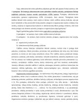 Materialinė atsakomybė valstybės tarnyboje 17 puslapis