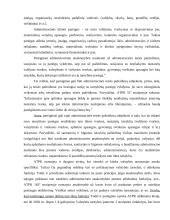 Materialinė atsakomybė valstybės tarnyboje 18 puslapis