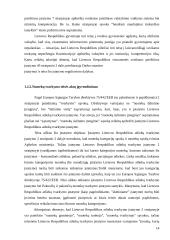 Miesto nuotekų valdymo problemos Šiaulių mieste 14 puslapis