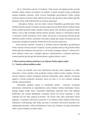 Miesto nuotekų valdymo problemos Šiaulių mieste 20 puslapis