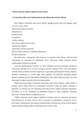 Miesto nuotekų valdymo problemos Šiaulių mieste 4 puslapis