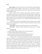 Valstybės tarnautojų teisių gynimo teorinės ir praktinės problemos 2 puslapis