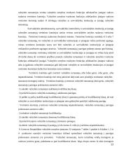 Valstybės tarnautojų teisių gynimo teorinės ir praktinės problemos 12 puslapis