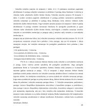 Valstybės tarnautojų teisių gynimo teorinės ir praktinės problemos 15 puslapis
