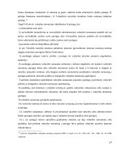 Valstybės tarnautojų teisių gynimo teorinės ir praktinės problemos 17 puslapis