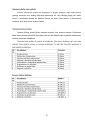 VĮ Regitra informacinė sistema 10 puslapis