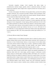 Užimtumo didinimo strategijos formavimo teoriniai ir praktiniai aspektai 17 puslapis