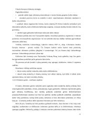Užimtumo didinimo strategijos formavimo teoriniai ir praktiniai aspektai 19 puslapis