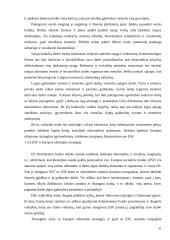 Užimtumo didinimo strategijos formavimo teoriniai ir praktiniai aspektai 20 puslapis