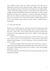 Užimtumo didinimo strategijos formavimo teoriniai ir praktiniai aspektai 6 puslapis