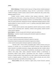 Valstybės tarnautojų darbo užmokesčio reguliavimo problemos 2 puslapis