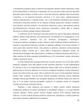 Valstybės tarnautojų darbo užmokesčio reguliavimo problemos 16 puslapis