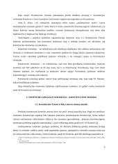 Konstitucinio teisminio proceso pagrindiniai bruožai 10 puslapis