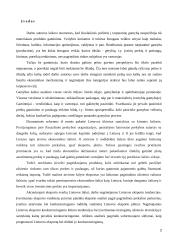 Žemų kaštų ir mažų kainų strategijų panaudojimas tarptautiniu mastu 2 puslapis