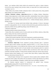 Žemų kaštų ir mažų kainų strategijų panaudojimas tarptautiniu mastu 11 puslapis