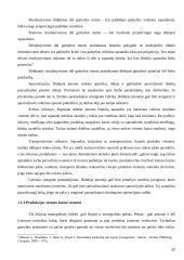 Žemų kaštų ir mažų kainų strategijų panaudojimas tarptautiniu mastu 12 puslapis