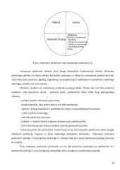 Žemų kaštų ir mažų kainų strategijų panaudojimas tarptautiniu mastu 14 puslapis