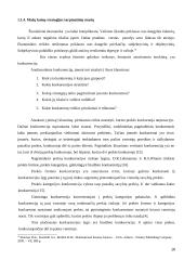 Žemų kaštų ir mažų kainų strategijų panaudojimas tarptautiniu mastu 16 puslapis