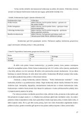 Žemų kaštų ir mažų kainų strategijų panaudojimas tarptautiniu mastu 17 puslapis