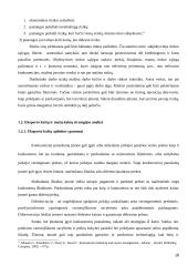 Žemų kaštų ir mažų kainų strategijų panaudojimas tarptautiniu mastu 18 puslapis