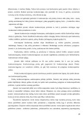 Žemų kaštų ir mažų kainų strategijų panaudojimas tarptautiniu mastu 19 puslapis