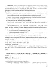 Žemų kaštų ir mažų kainų strategijų panaudojimas tarptautiniu mastu 3 puslapis