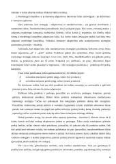 Žemų kaštų ir mažų kainų strategijų panaudojimas tarptautiniu mastu 4 puslapis