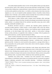 Žemų kaštų ir mažų kainų strategijų panaudojimas tarptautiniu mastu 6 puslapis