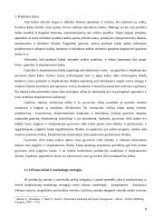 Žemų kaštų ir mažų kainų strategijų panaudojimas tarptautiniu mastu 8 puslapis