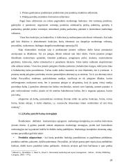 Žemų kaštų ir mažų kainų strategijų panaudojimas tarptautiniu mastu 10 puslapis