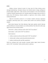 Pirkėjų ir pardavimų vidaus auditas įmonėje 2 puslapis