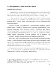 Pirkėjų ir pardavimų vidaus auditas įmonėje 3 puslapis