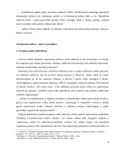 Pirkėjų ir pardavimų vidaus auditas įmonėje 6 puslapis