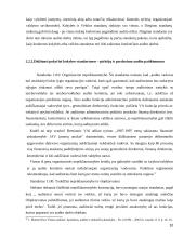 Pirkėjų ir pardavimų vidaus auditas įmonėje 10 puslapis