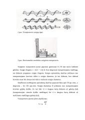 Sraigtiniai transporteriai. Elevatoriai 2 puslapis