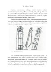Sraigtiniai transporteriai. Elevatoriai 6 puslapis